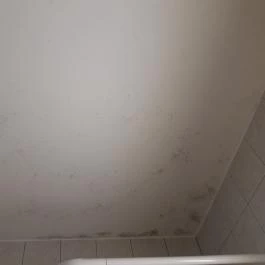 Hotel Nostra Siófok - Egyéb