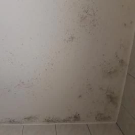 Hotel Nostra Siófok - Egyéb