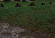 Vadása Camping és Faházak Hegyhátszentjakab