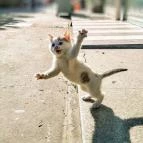 Park Hotel Gyula Gyula - Egyéb