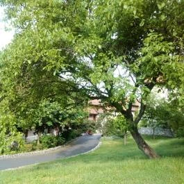 Club Dobogómajor, Cserszegtomaj - Környék