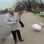 Hunguest Hotel Helikon Keszthely - Környék