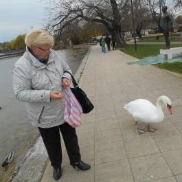 Hunguest Hotel Helikon Keszthely - Környék
