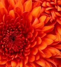 Sárvári Gyógy- és Wellnessfürdő