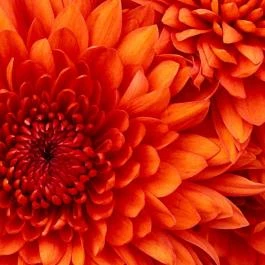 Sárvári Gyógy- és Wellnessfürdő Sárvár - Egyéb