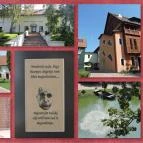 Hotel Vécsecity Hernádvécse - Egyéb