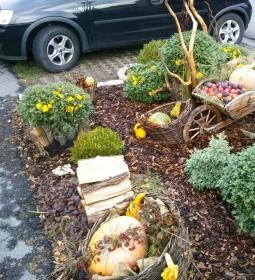 Il Gallo Nero - Fekete Kakas Étterem