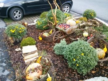 Il Gallo Nero - Fekete Kakas Étterem Szombathely