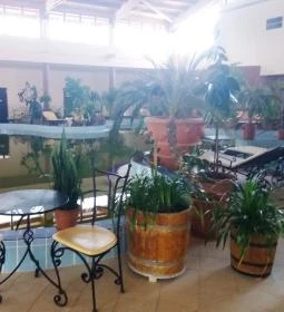 Aranykor Wellness és Termálfürdő