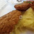 Halascsárda Panzió Akasztó - Vendéglátás