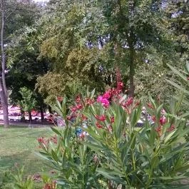 Hertelendi Termálfürdő Magyarhertelend - Egyéb