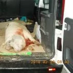 Hajnal Hotel Mezőkövesd - Környék