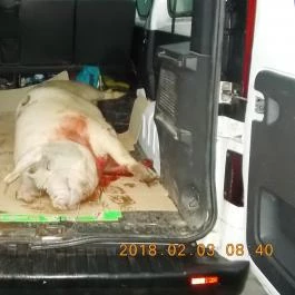 Hajnal Hotel, Mezőkövesd - Környék