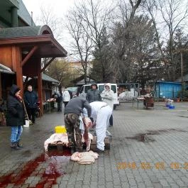 Hajnal Hotel, Mezőkövesd - Környék