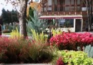 Igali Gyógyfürdő Igal