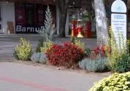 Igali Gyógyfürdő Igal