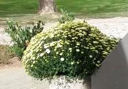 Igali Gyógyfürdő Igal