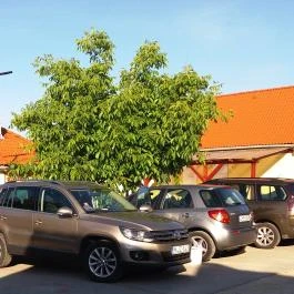 Ponty-Lak Vendégház Dávod - Medence/kert