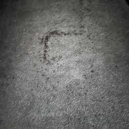 Gunaras Resort Spa Hotel Dombóvár - Egyéb