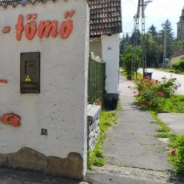 Kőkorszaki Pocak-tömő Étterem & Pizzéria, Bogács - Egyéb