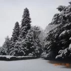 Festetich Kastélyszálló és Zsuzsanna Hotel Szeleste - Környék