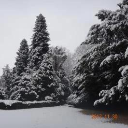 Festetich Kastélyszálló és Zsuzsanna Hotel, Szeleste - Környék