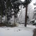 Festetich Kastélyszálló és Zsuzsanna Hotel Szeleste - Környék