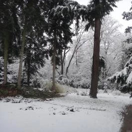 Festetich Kastélyszálló és Zsuzsanna Hotel, Szeleste - Környék