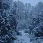 Festetich Kastélyszálló és Zsuzsanna Hotel Szeleste - Környék