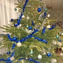 Hotel Szieszta, Sopron - Belső