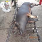 Sokoró Fogadó Sokorópátka - Egyéb