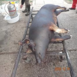 Sokoró Fogadó, Sokorópátka - Egyéb