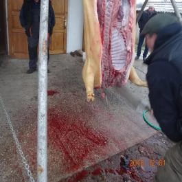 Sokoró Fogadó, Sokorópátka - Egyéb