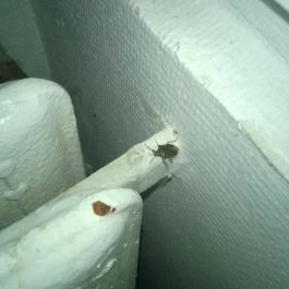 Hotel Palota, Lillafüred - Belső