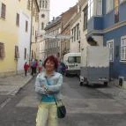 Hotel Szieszta Sopron - Környék