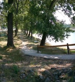 Pázsit-tó Étterem, Büfé