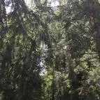 Erzsébet Park Hotel Parádfürdő - Környék