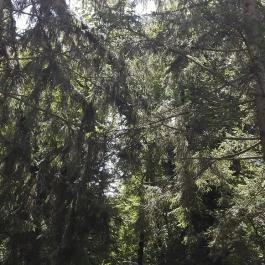 Erzsébet Park Hotel, Parádfürdő - Környék