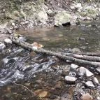 Erzsébet Park Hotel Parádfürdő - Környék