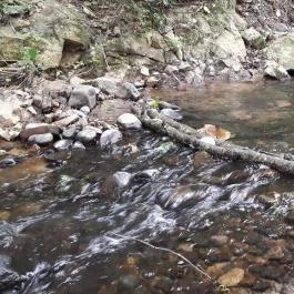 Erzsébet Park Hotel, Parádfürdő - Környék