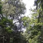 Erzsébet Park Hotel Parádfürdő - Környék