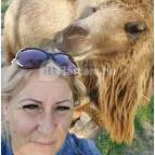 Richter Safari Park Nagykőrös - Egyéb