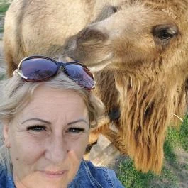 Richter Safari Park Nagykőrös - Egyéb