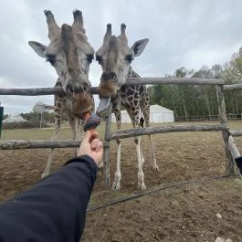 Richter Safari Park, Nagykőrös - Egyéb