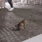 Huszárvár Szálló Szerencs - Külső kép