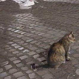 Huszárvár Szálló, Szerencs - Külső kép