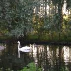 Nyerges Hotel Termál Monor - Környék