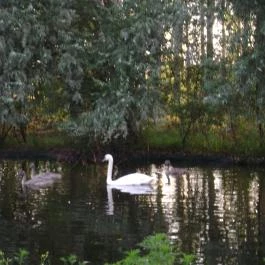 Nyerges Hotel Termál Monor - Környék
