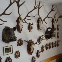 Hotel Gabriella, Tapolca - Egyéb