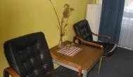 Hotel Club Agárd - Belső Hotel Club Agárd - Belső